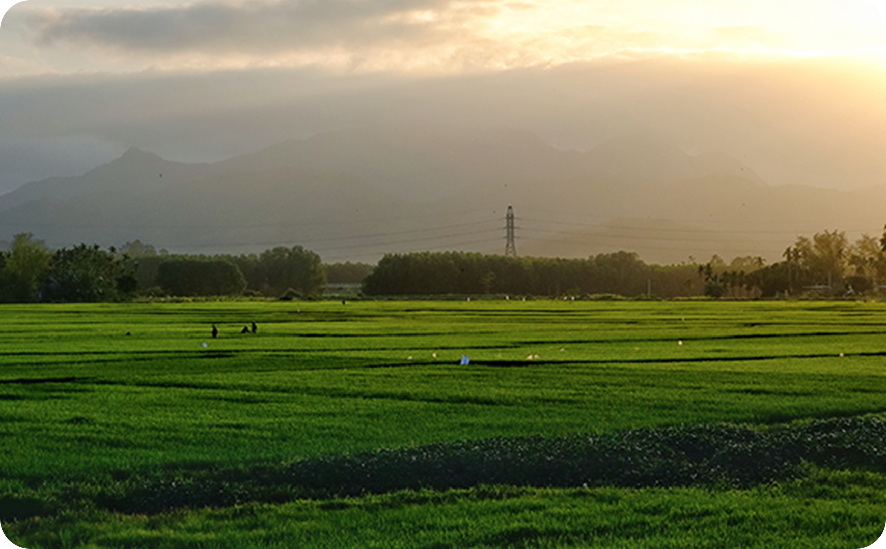 OUR OWN LARGE-SCALE EXPERIMENTAL FARMS